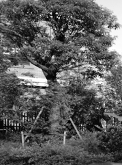 涟水注册公司